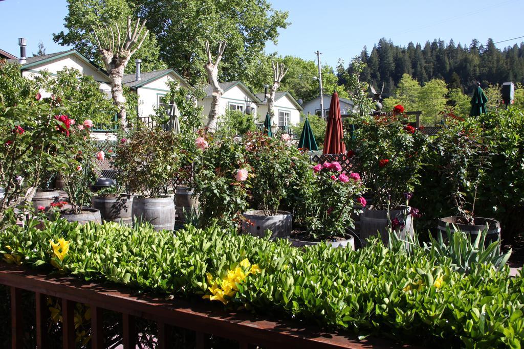 The Woods Hotel - Gay Lgbtq Cabins Guerneville Exterior foto